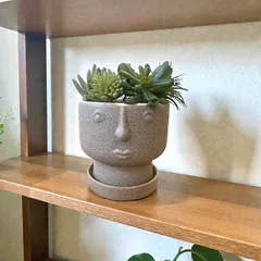 植木鉢 花器 陶器 グレー 底穴あり 受け皿付き 外寸10cm 高さ10cm 塊根植物 多肉植物 観葉植物