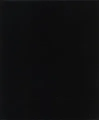 Sue Rynski DESTROY ALL MONSTERS