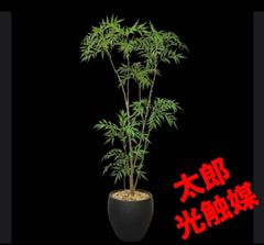 光触媒 人工観葉植物 ウォールグリーン フェイクグリーン アーモンド
