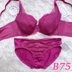 ブラショーツセット 脇高ブラ  B75  総レース チュールレース フルバック 高級感 上品 エレガント ピンク