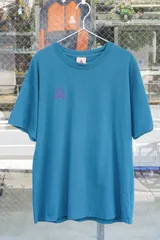 NIKE ACG 刺繍ロゴ Tシャツ Mサイズ ティール系 パープル刺繍ACG三角ロゴ BQ7343-347