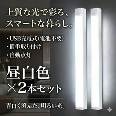 人感センサーライト 2本 セット 自動消灯 USB タイプC 充電 ケーブル 付属 配線不要 玄関 廊下 クローゼット 対応