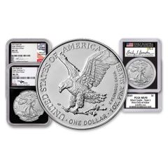 2014年 1ドル アメリカン シルバー イーグル PCGS MS70 ブルーラベル