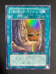 遊戯王 王家の眠る谷－ネクロバレー ウルトラ301-032 - メルカリ