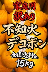 2026年最新】みかんキングの人気アイテム - メルカリ