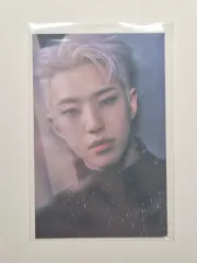 セブチ ホシ Spider トレーディングカードセット