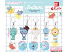 JOCHUM めじるしアクセサリー1 全5種セット　コンプ ガチャガチャ