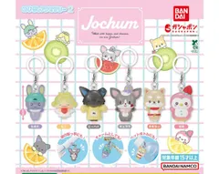 JOCHUM めじるしアクセサリー2  全6種セット　コンプ ガチャガチャ