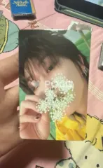 Seventeen ディエイト セブチ SEVENTEENTH HEAVEN Carat Ver.