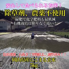 令和7年滋賀県産 日本晴【玄米20kg】石抜き済 全国送込み 玄米20キロ