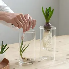 花瓶 PINO ガラスベース ストレート クリア アクシス ホームステッド Homestead HS3236 ガラス アンティーク風 ボトルベース フラワーベース/木/花/フラワー/フラワーグラス/ベース/シンプル/おしゃれ 置物/北欧/花器/インテリア雑貨/