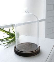 DULTON GLASS CLOCHE Lサイズ ダルトン ガラスクローシュ DULTON GLASS CLOCHE Mサイズ ダルトン ガラスクローシュ - メルカリ
