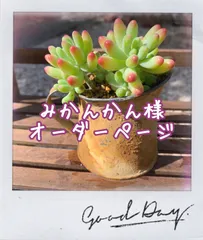 2/1 みかんかん様専用オーダーページ◆リメイク缶 2点