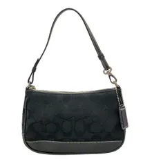 コーチ ハンドバッグ アクセサリーポーチ シグネチャー 6094 レディース COACH