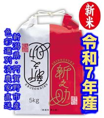 大粒な新米・令和7年産 新潟 新之助 白米5キロ1個 農家直送 FP0519-1