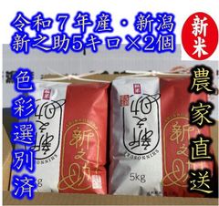 大粒な新米・令和7年産 新潟 新之助 白米5キロ2個（10kg) ☆農家直送