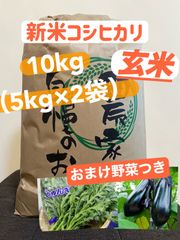 島根県産 コシヒカリ 令和7年度 10キロ（玄米） - メルカリ