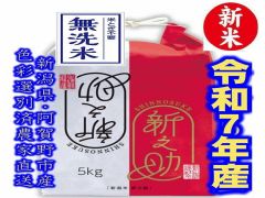 大粒な新米・令和7年産 新潟 新之助 白米5キロ1個 農家直送 FP0519-1