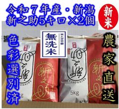 大粒な新米・令和7年産 新潟 新之助 白米5キロ2個（10kg) ☆農家直送