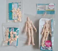 まとめ)ピコニーモボディ(dレディース妹 LL)+ハンドフットPARTS(パーツ) ねんどろいど オビツ