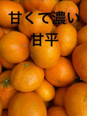 甘平　訳あり　5ｋｇ　愛媛県産
