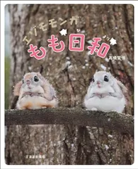 2026年最新】モモモモンガの人気アイテム - メルカリ