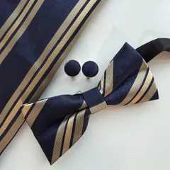 ③-2 蝶ネクタイ　ポケットチーフ　カフス3点セット