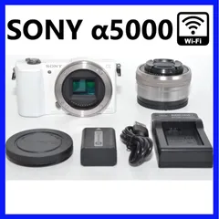 2026年最新】sony α5000 レンズの人気アイテム - メルカリ