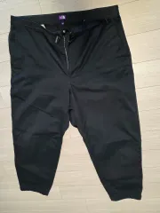 THE NORTH FACE パープルレーベル ワイド チノパンツ(ネイビー) 34