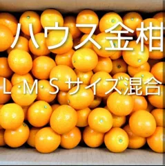 はな　様　専用ページ