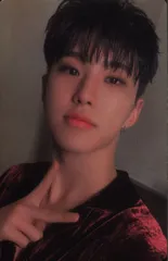 SEVENTEEN KIT ver. HOSHI FML