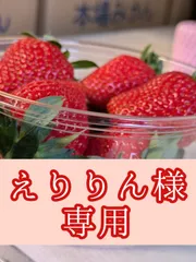 えりりん様専用クール便♡紅白苺♡コンパクトBOX５箱♡