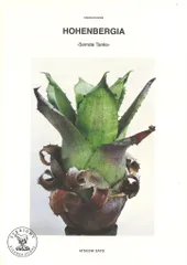 佐藤淳 HOHENBERGIA Serrate Tanks