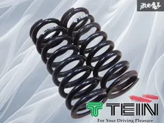 2026年最新】tein スプリングの人気アイテム - メルカリ