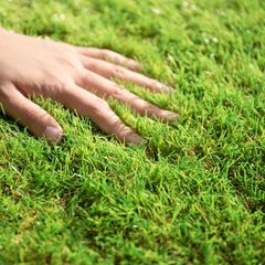 Item thumbnail for item 36658b9c-ced3-4c6c-a4b2-b642ec4c5ff5