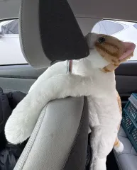 猫 ぬいぐるみ 白/オレンジ