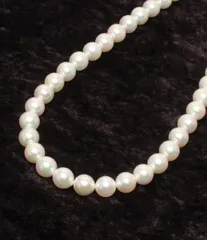 ネックレス パール 8.0-8.5mm レディース