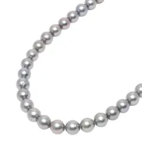 ネックレス SV パール 7.5mm レディース