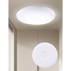 Item thumbnail for item ba8eda1d-3ebc-4564-a49d-f7331a499c95