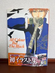 BLEACH ブリーチ イラスト集　アニメ　漫画　本