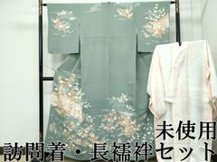 単衣 付け下げ フルセット 夏着物 絽 紗 トールサイズ 流れる秋草 T3
