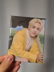 SEVENTEEN エスクプス カラット盤