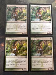 kw6 39 カープルーザンの森/Karplusan Forest 6ED 日本語 JP MTG