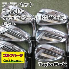 テーラーメイド GLOIRE 2014 GL2200 アイアン８本 テーラーメイド GLOIRE 2014 GL2200 アイアン8本 - メルカリ