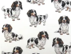 【ゆきちゃん限定】X2635 ダックス パイボールド 白 コットン生地 1m