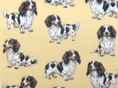 【ゆきちゃん限定】X2637 ダックス パイボールド ベージュ 生地 1m