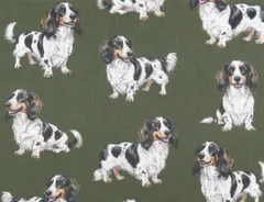 【ゆきちゃん限定】X2640 ダックス パイボールド カーキ 生地 1m