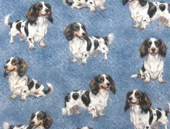 【ゆきちゃん限定】X2642 ダックス パイボールド デニムブルー 布 1m