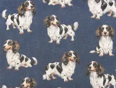 【ゆきちゃん限定】X2643 ダックス パイボールド デニム紺 生地 1m