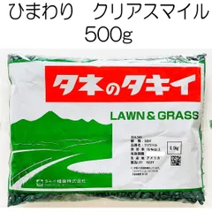 ひまわり種子　品種：クリアスマイル　500g　タキイ種苗　景観・搾油用